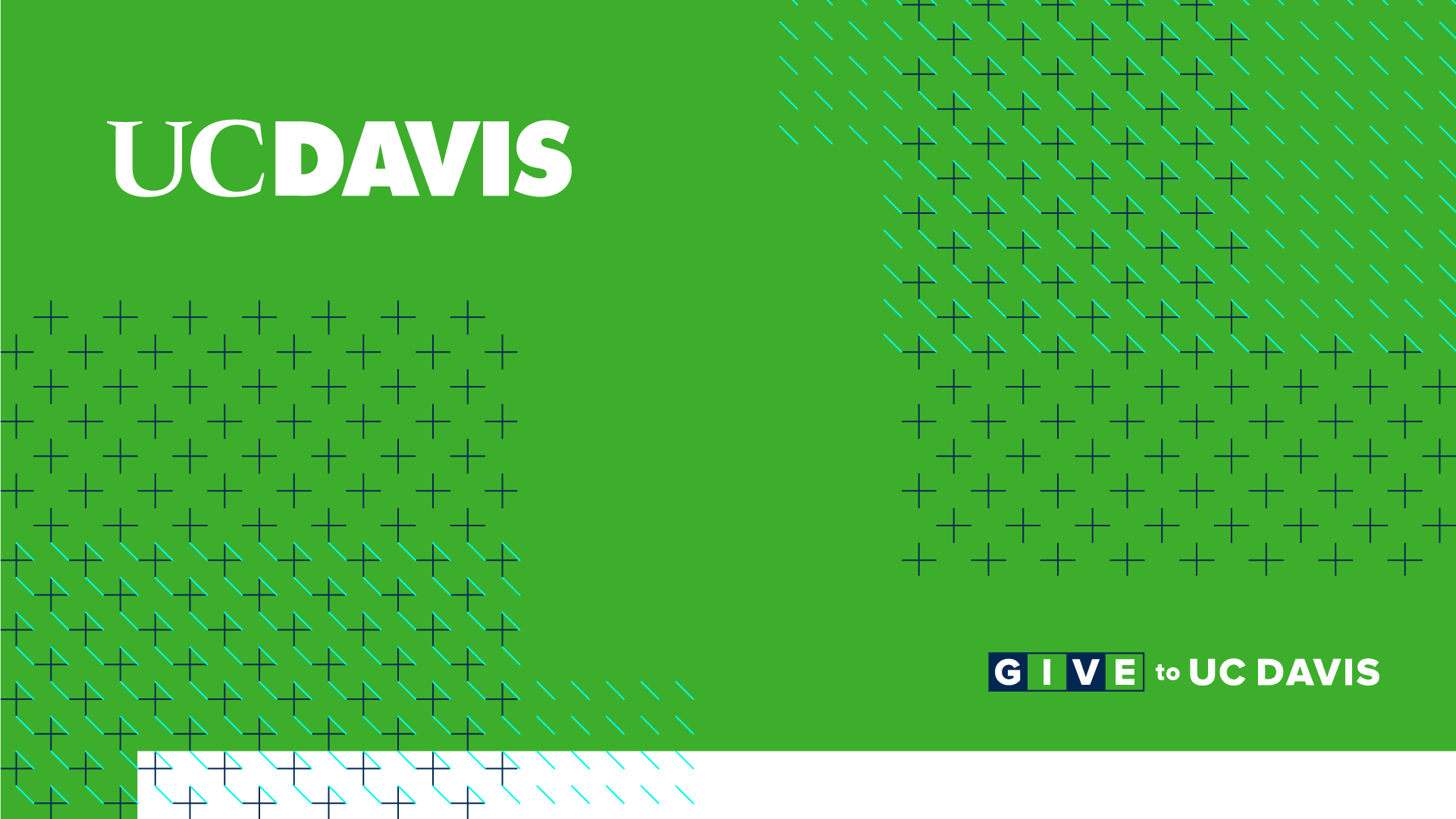 Green UC Davis zoom background