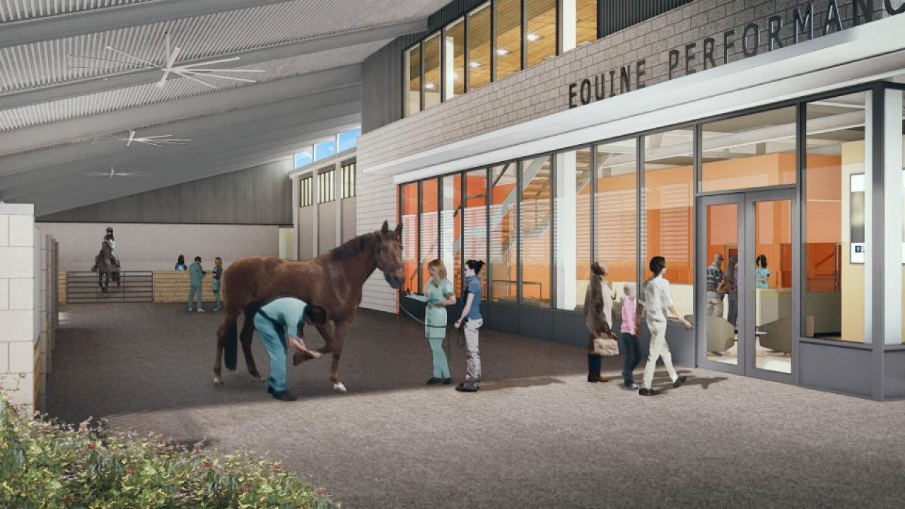 Artist rendering of the Equine Performance Center