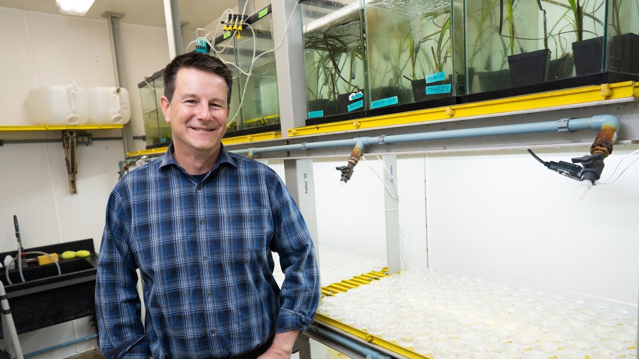 A man in a plaid shirt stands in a lab next to aquaculture tanks and trays.