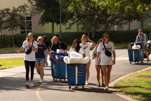 A group of students and their families push four-wheel carts towards dorms for move-in.